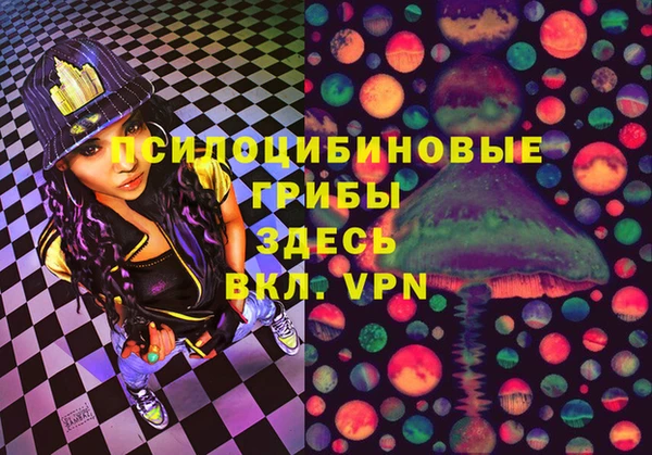 PSILOCYBIN Беломорск
