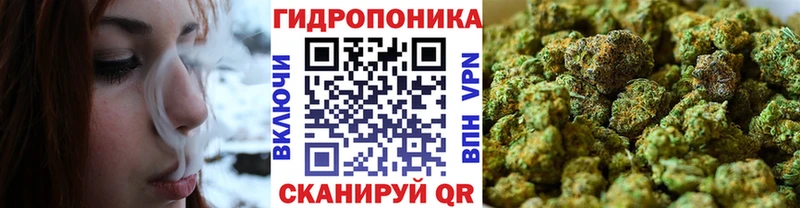 Бошки Шишки OG Kush  где продают   Чердынь 